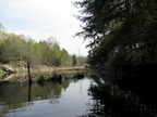 IMG 4624